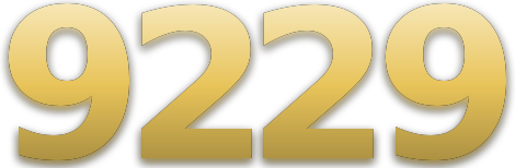 9229 logo